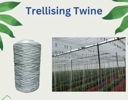 Trellising Supporting Twine