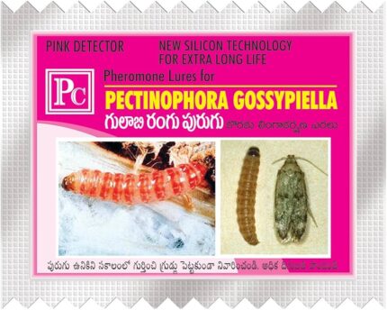 Pectinophora gossypiella Pheromone Lure – Pack of 10