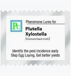 Plutella xylostella Pheromone Lure – Pack of 10