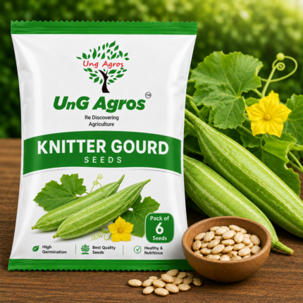Ridge Gourd Seeds