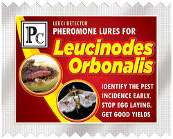 Leucinodes orbonalis Pheromone Lure (pack of 10)